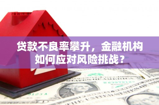 木垒贷款不良率攀升，金融机构如何应对风险挑战？