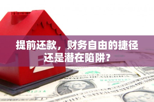 木垒提前还款，财务自由的捷径还是潜在陷阱？