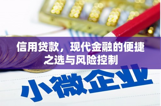 木垒信用贷款，现代金融的便捷之选与风险控制