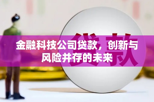 木垒金融科技公司贷款，创新与风险并存的未来