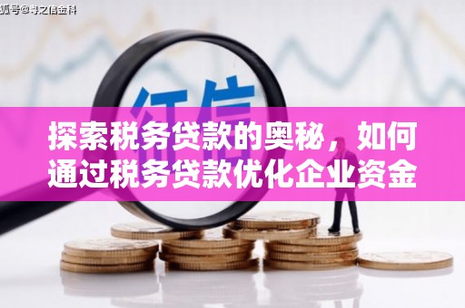 木垒探索税务贷款的奥秘，如何通过税务贷款优化企业资金流