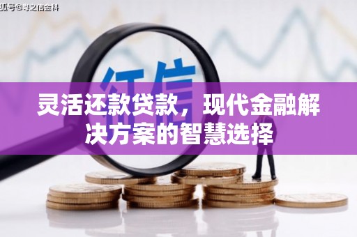 木垒灵活还款贷款，现代金融解决方案的智慧选择