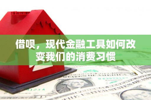 木垒借呗，现代金融工具如何改变我们的消费习惯