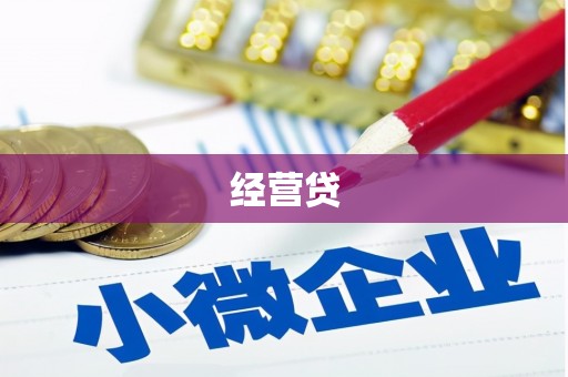 木垒经营贷