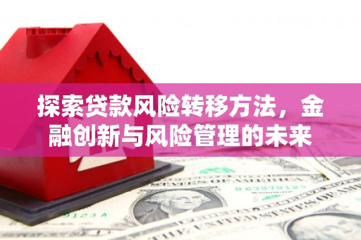 木垒探索贷款风险转移方法，金融创新与风险管理的未来