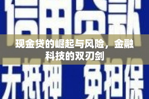 木垒现金贷的崛起与风险，金融科技的双刃剑