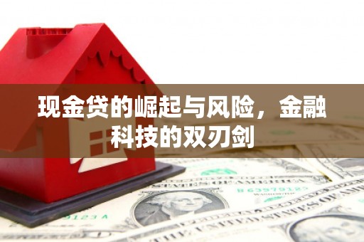 木垒现金贷的崛起与风险，金融科技的双刃剑