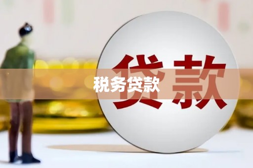 木垒税务贷款