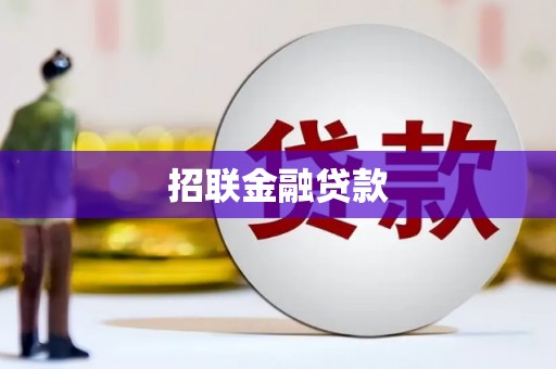 木垒招联金融贷款
