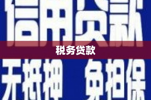 木垒税务贷款