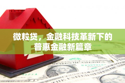 木垒微粒贷，金融科技革新下的普惠金融新篇章