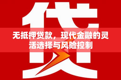 木垒无抵押贷款，现代金融的灵活选择与风险控制
