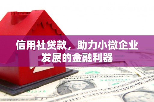 木垒信用社贷款，助力小微企业发展的金融利器