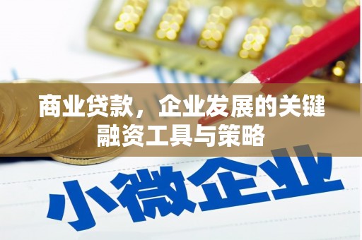 木垒商业贷款，企业发展的关键融资工具与策略
