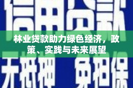 木垒林业贷款助力绿色经济，政策、实践与未来展望