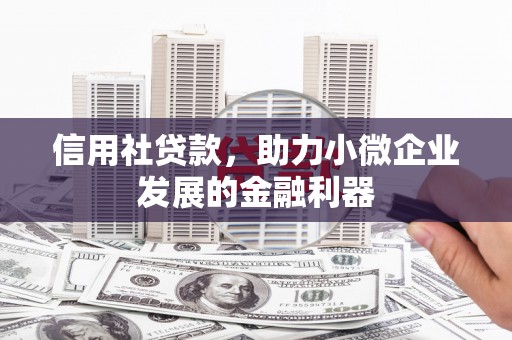 木垒信用社贷款，助力小微企业发展的金融利器