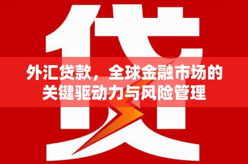 木垒外汇贷款，全球金融市场的关键驱动力与风险管理