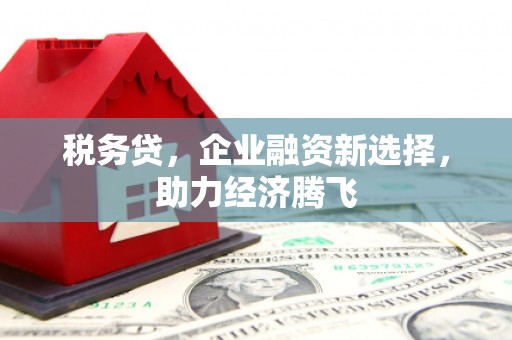 木垒税务贷，企业融资新选择，助力经济腾飞