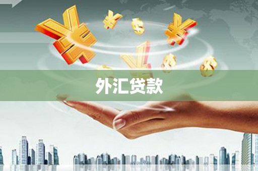 木垒外汇贷款