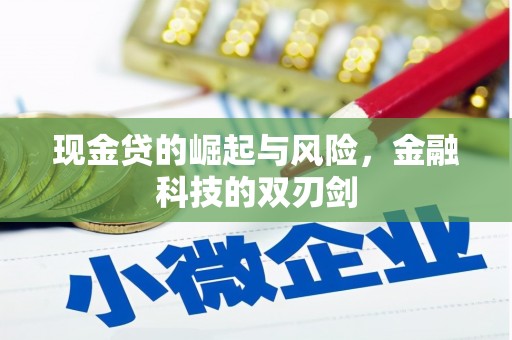 木垒现金贷的崛起与风险，金融科技的双刃剑