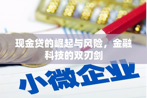 木垒现金贷的崛起与风险，金融科技的双刃剑