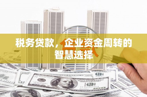 木垒税务贷款，企业资金周转的智慧选择