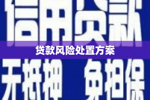 木垒贷款风险处置方案