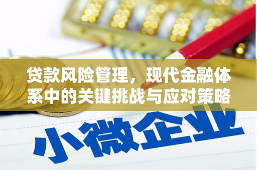 木垒贷款风险管理，现代金融体系中的关键挑战与应对策略