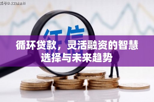 木垒循环贷款，灵活融资的智慧选择与未来趋势