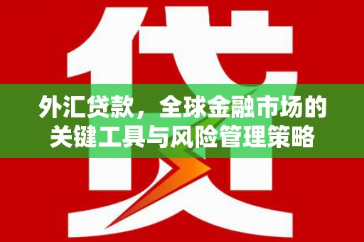 木垒外汇贷款，全球金融市场的关键工具与风险管理策略