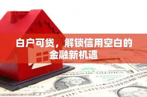 木垒白户可贷，解锁信用空白的金融新机遇
