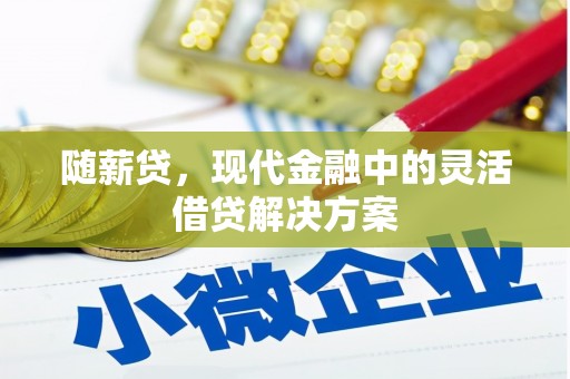木垒随薪贷，现代金融中的灵活借贷解决方案