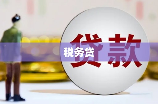 木垒税务贷