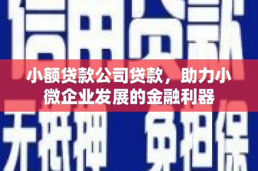 木垒小额贷款公司贷款，助力小微企业发展的金融利器
