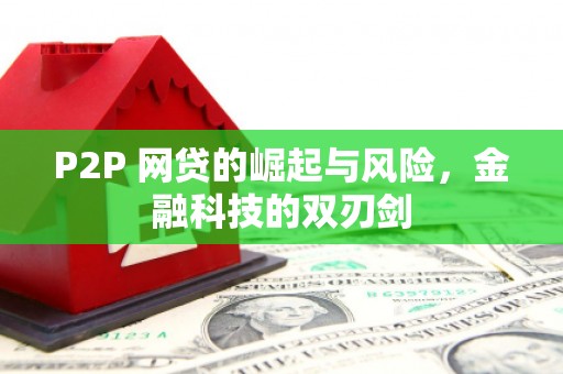 木垒P2P 网贷的崛起与风险，金融科技的双刃剑