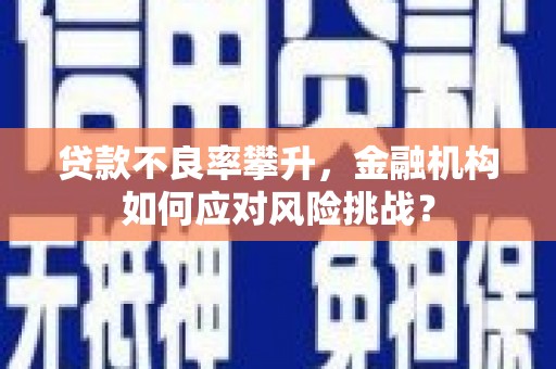 木垒贷款不良率攀升，金融机构如何应对风险挑战？