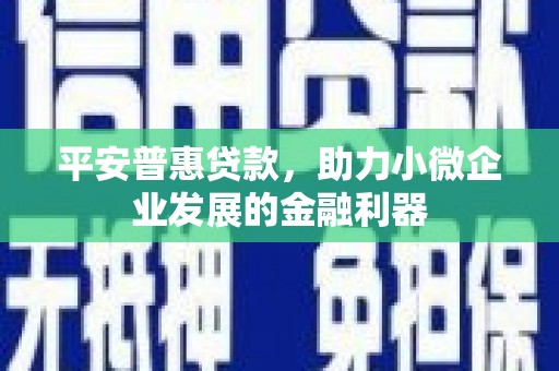 木垒平安普惠贷款，助力小微企业发展的金融利器