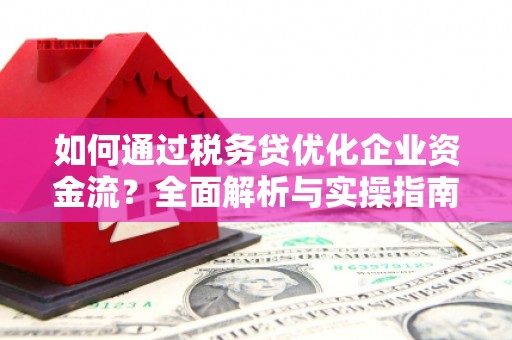 木垒如何通过税务贷优化企业资金流？全面解析与实操指南