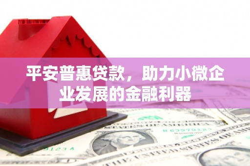 木垒平安普惠贷款，助力小微企业发展的金融利器
