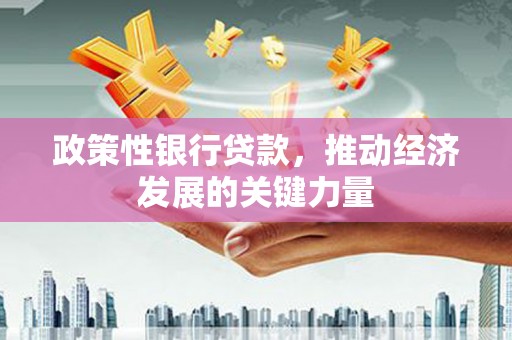 木垒政策性银行贷款，推动经济发展的关键力量