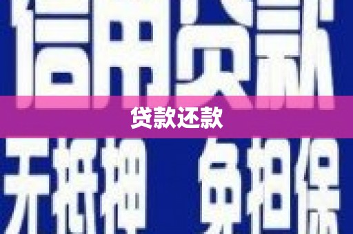 木垒贷款还款