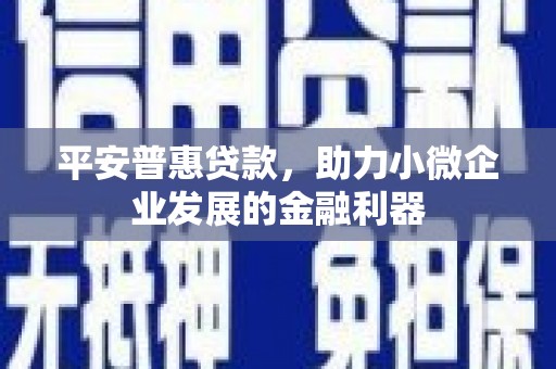 木垒平安普惠贷款，助力小微企业发展的金融利器