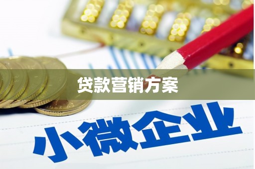 木垒贷款营销方案