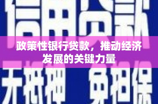 木垒政策性银行贷款，推动经济发展的关键力量