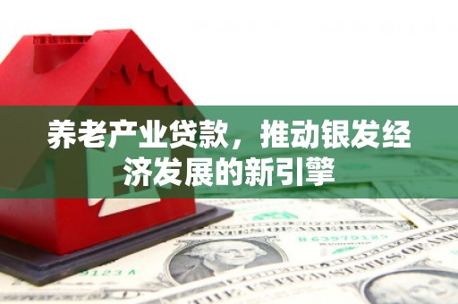 木垒养老产业贷款，推动银发经济发展的新引擎