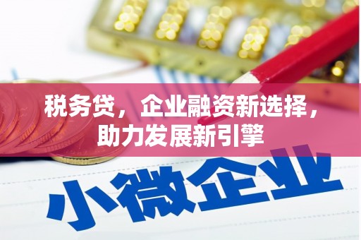 木垒税务贷，企业融资新选择，助力发展新引擎