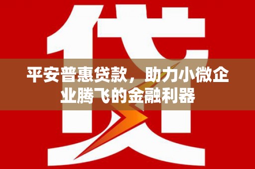 木垒平安普惠贷款，助力小微企业腾飞的金融利器