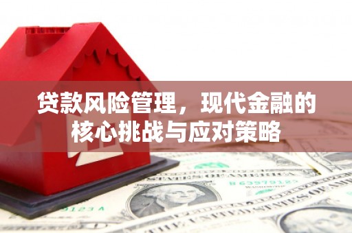 木垒贷款风险管理，现代金融的核心挑战与应对策略