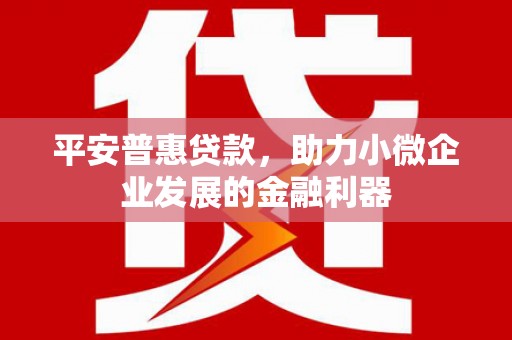 木垒平安普惠贷款，助力小微企业发展的金融利器