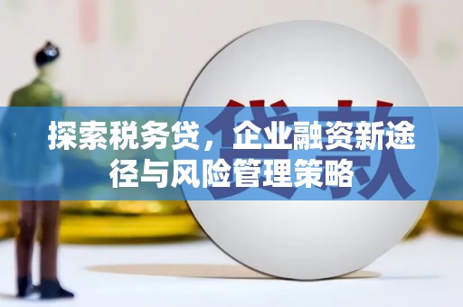 木垒探索税务贷，企业融资新途径与风险管理策略